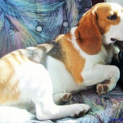 Też chce mi się pić……