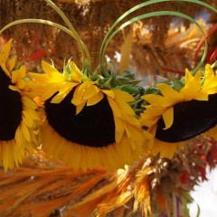 Powiatowo – Gminne Dożynki 2015……