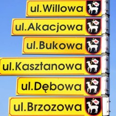 Przebudowa ulicy Willowej i Podgórnej.