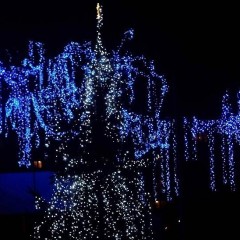 Choinka już jest, więc Boże Narodzenie tuż tuż…..