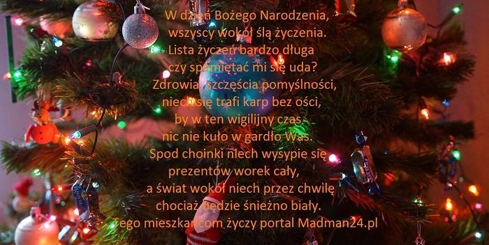 zycz1