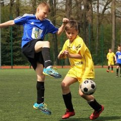 Stal – wyniki… od orlika do seniora…