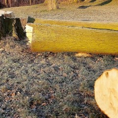 Będzie kręgielnia w Ogródku Jordanowskim… prima aprilis :)