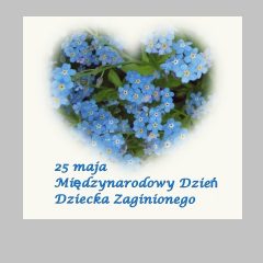 Międzynarodowy Dzień Dziecka Zaginionego…