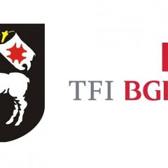 W Sulęcinie zostaną wybudowane 3 bloki komunalne…