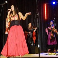 Obchody Gminnego Tygodnia Seniora…