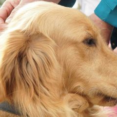 Zerwijmy łańcuchy…