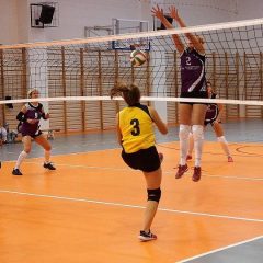 Amatorska Liga Piłki Siatkowej Kobiet…