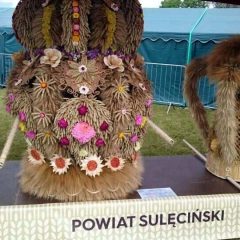 Wojewódzkie Dożynki w Cybince