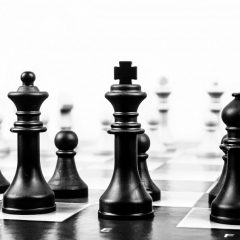 Sulęcińskie sukcesy szachowe