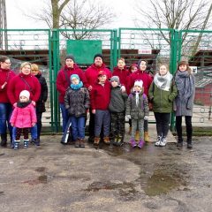 Pełna miska dla zwiarzaka