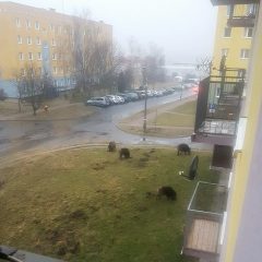 Wielka Sobota na osiedlu Słonecznym