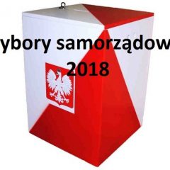 Wybory samorządowe 2018