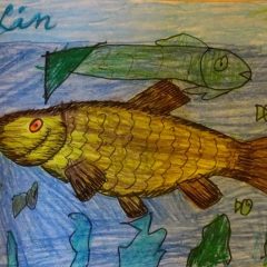 Finał konkursu plastycznego