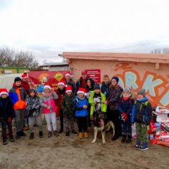 Pełna miska dla zwierzaka