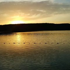 Lubniewice – galeria zdjęć