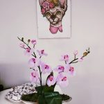 Studio paznokci Sphynx