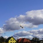 Święto latawca 2019