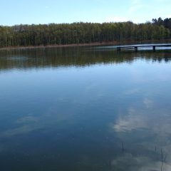 Postomsko – modernizacja