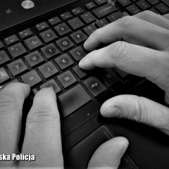 Oszustwa w sieci