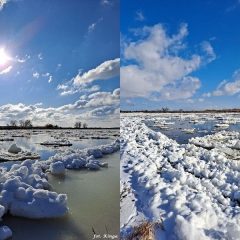 Zima nad Wartą