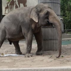 ZOO Berlin