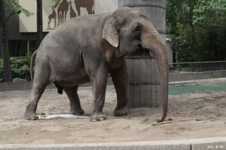 ZOO Berlin