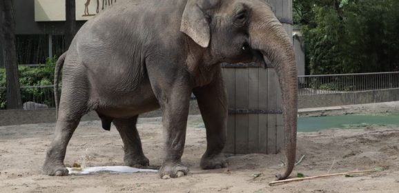 ZOO Berlin