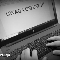 Cyberoszuści nie mają wakacji