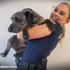 Porzucony pies znalazł dom u policjantki