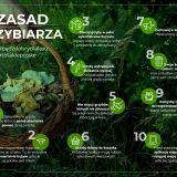 Bezpieczne grzybobranie
