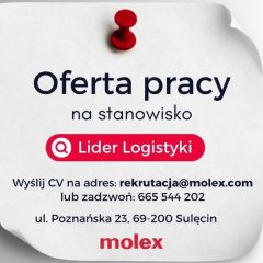 Oferta pracy
