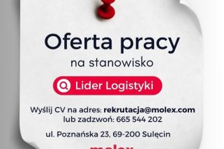 Oferta pracy