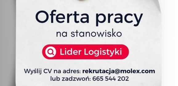 Oferta pracy