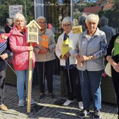 Warsztaty stolarsko-przyrodnicze