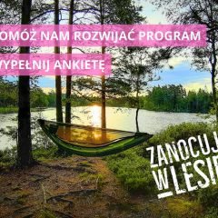„Zanocuj w lesie” – wypełnij ankietę