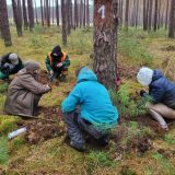 Jesienne poszukiwania