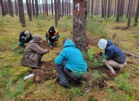 Jesienne poszukiwania