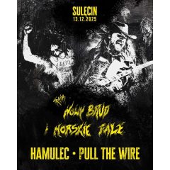 Koncert w Klubie u Bulka