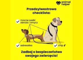 Przedsylwestrowa checklista