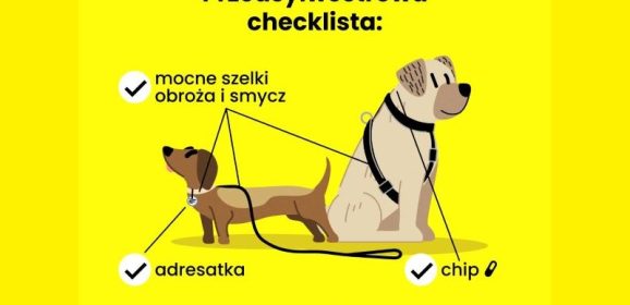 Przedsylwestrowa checklista