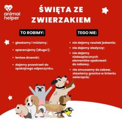 Święta ze zwierzakiem