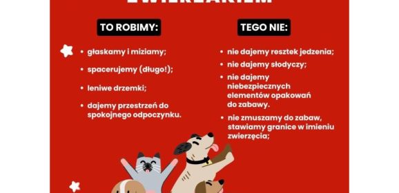 Święta ze zwierzakiem