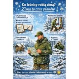 Co leśnicy robią zimą?