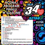 Finał WOŚP w Sulęcinie